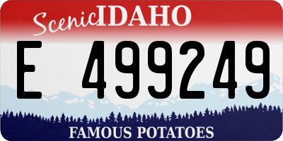 ID license plate E499249