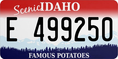 ID license plate E499250