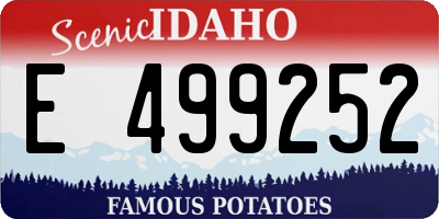 ID license plate E499252