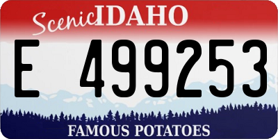 ID license plate E499253