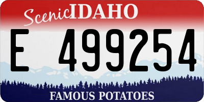 ID license plate E499254