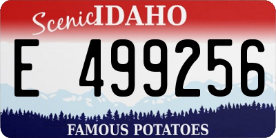 ID license plate E499256
