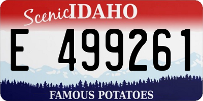 ID license plate E499261