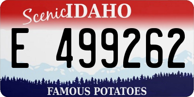 ID license plate E499262