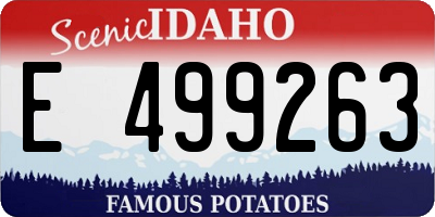 ID license plate E499263