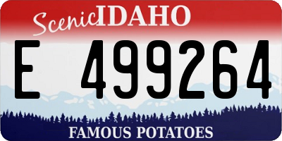 ID license plate E499264