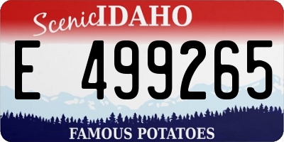 ID license plate E499265