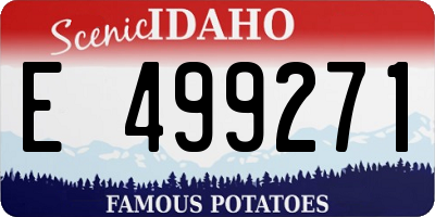 ID license plate E499271