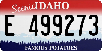 ID license plate E499273