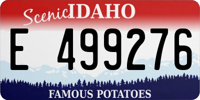 ID license plate E499276