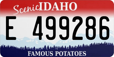 ID license plate E499286