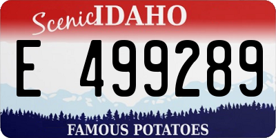 ID license plate E499289