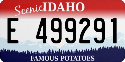 ID license plate E499291