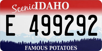 ID license plate E499292