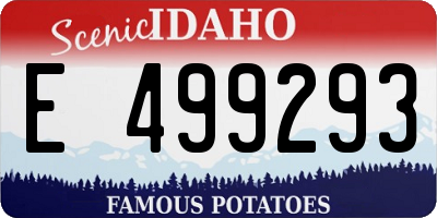 ID license plate E499293