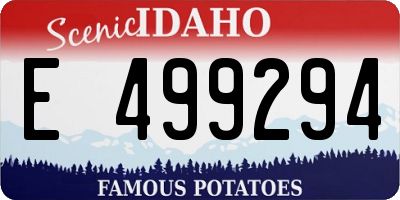 ID license plate E499294