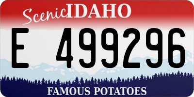 ID license plate E499296
