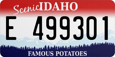 ID license plate E499301