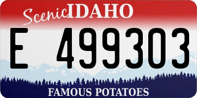 ID license plate E499303
