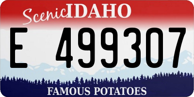 ID license plate E499307