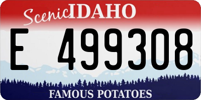 ID license plate E499308
