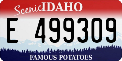ID license plate E499309