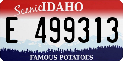 ID license plate E499313