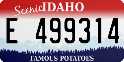 ID license plate E499314