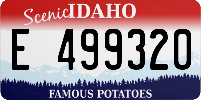 ID license plate E499320