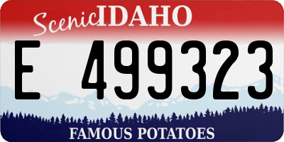 ID license plate E499323