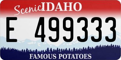 ID license plate E499333
