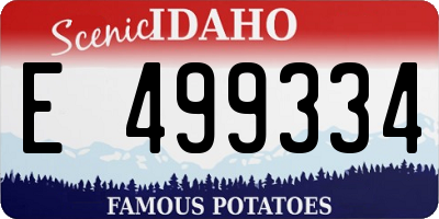 ID license plate E499334