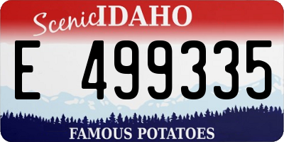 ID license plate E499335