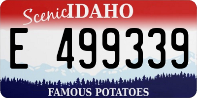 ID license plate E499339