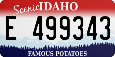 ID license plate E499343