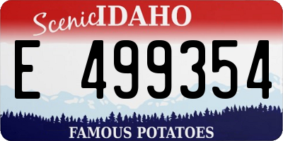 ID license plate E499354