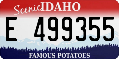 ID license plate E499355