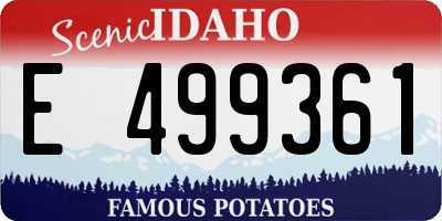ID license plate E499361