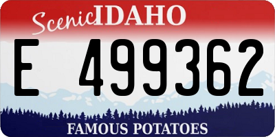 ID license plate E499362