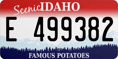 ID license plate E499382