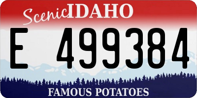 ID license plate E499384