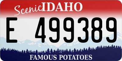 ID license plate E499389