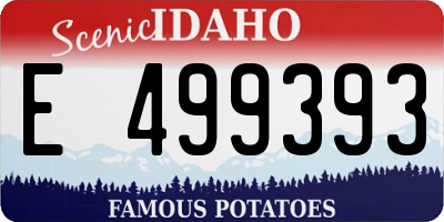 ID license plate E499393