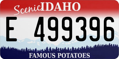 ID license plate E499396