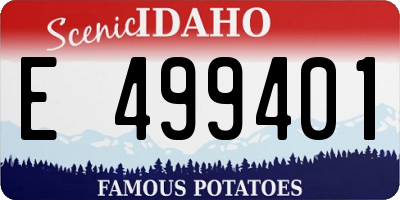 ID license plate E499401