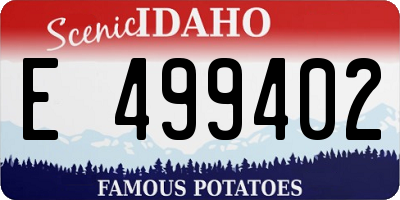 ID license plate E499402