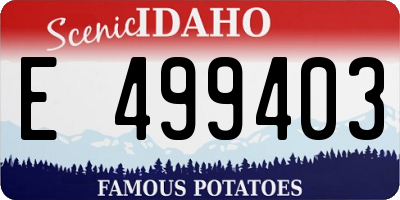 ID license plate E499403