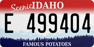 ID license plate E499404