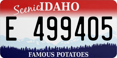 ID license plate E499405