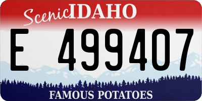 ID license plate E499407